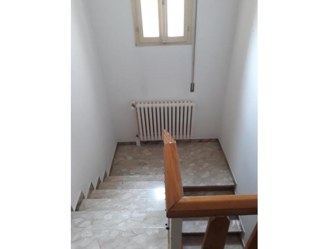 Anteprima foto 8 - Altro in Vendita a Riva del Po (Ferrara)