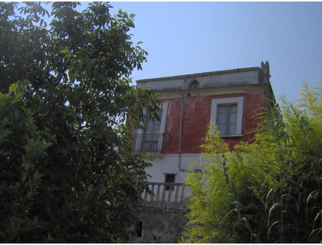 Anteprima foto 2 - Altro in Vendita a Rodi Garganico (Foggia)