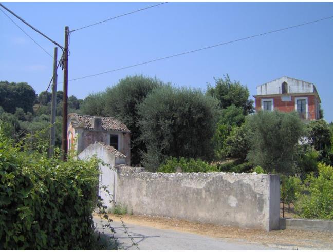 Anteprima foto 4 - Altro in Vendita a Rodi Garganico (Foggia)