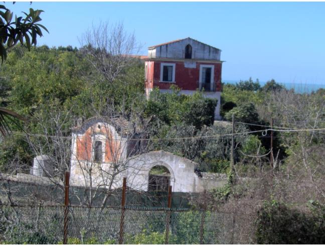 Anteprima foto 5 - Altro in Vendita a Rodi Garganico (Foggia)