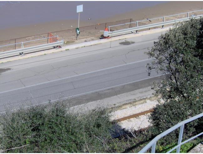 Anteprima foto 8 - Altro in Vendita a Rodi Garganico (Foggia)