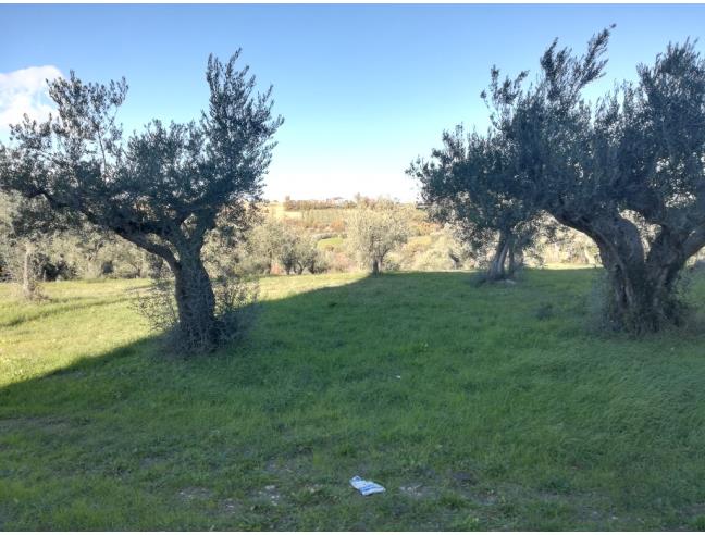 Anteprima foto 3 - Altro in Vendita a Rosciano (Pescara)