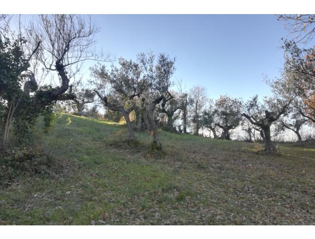 Anteprima foto 4 - Altro in Vendita a Rosciano (Pescara)