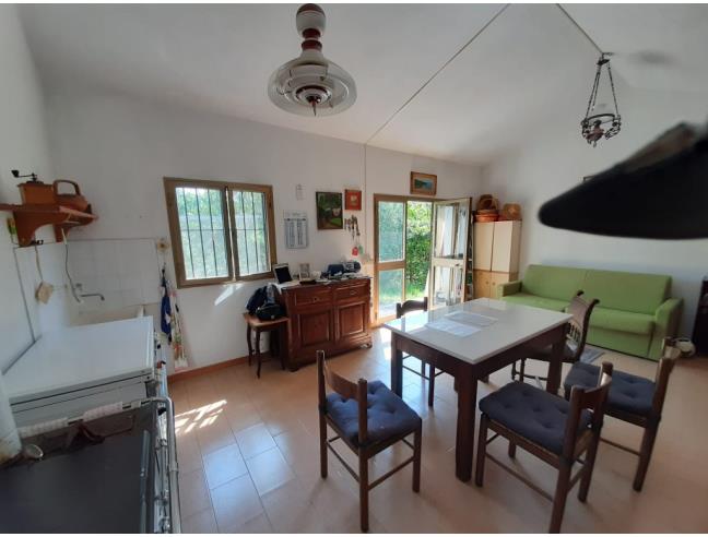 Anteprima foto 2 - Altro in Vendita a Rosignano Marittimo (Livorno)