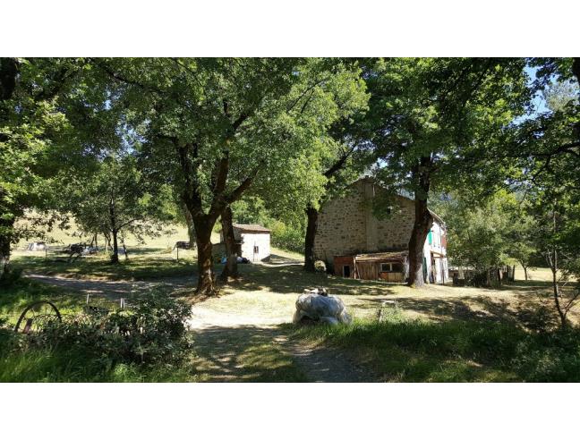 Anteprima foto 2 - Altro in Vendita a Sambuca Pistoiese (Pistoia)