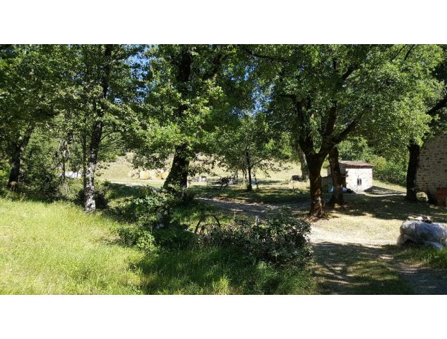 Anteprima foto 3 - Altro in Vendita a Sambuca Pistoiese (Pistoia)