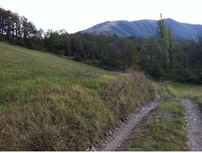 Anteprima foto 4 - Altro in Vendita a Sambuca Pistoiese (Pistoia)
