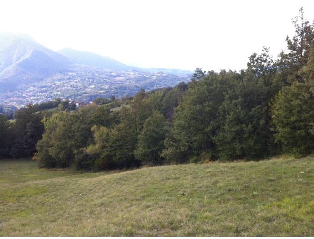 Anteprima foto 5 - Altro in Vendita a Sambuca Pistoiese (Pistoia)