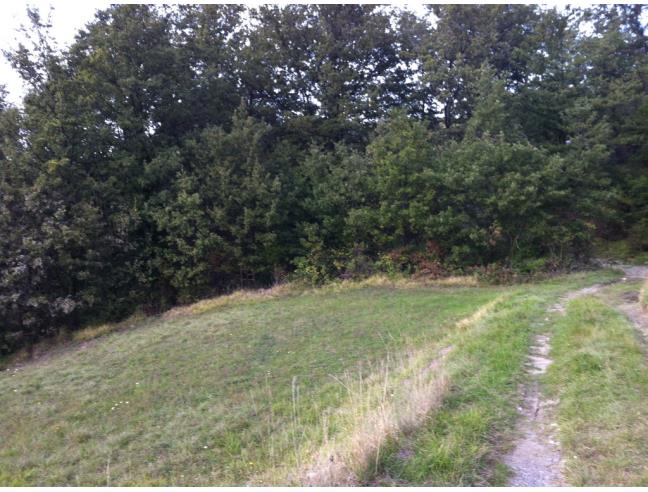 Anteprima foto 7 - Altro in Vendita a Sambuca Pistoiese (Pistoia)