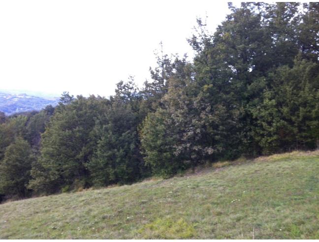 Anteprima foto 8 - Altro in Vendita a Sambuca Pistoiese (Pistoia)