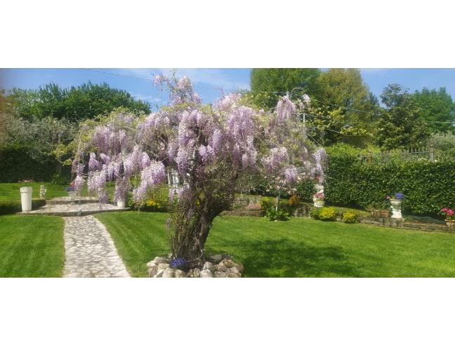 Anteprima foto 2 - Altro in Vendita a San Giorgio del Sannio (Benevento)