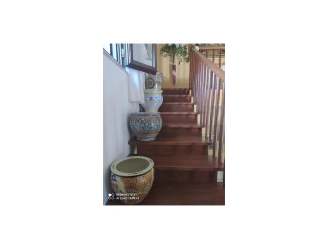 Anteprima foto 8 - Altro in Vendita a San Giorgio del Sannio (Benevento)