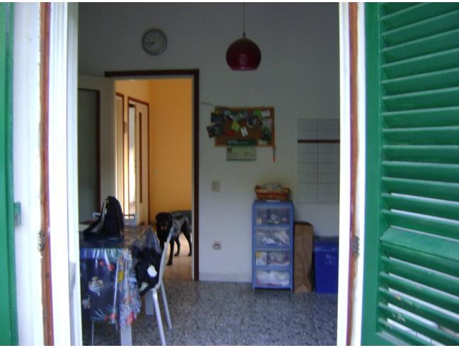 Anteprima foto 6 - Altro in Vendita a San Giuliano Terme - Asciano