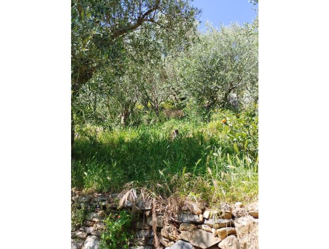 Anteprima foto 6 - Altro in Vendita a San Giuliano Terme - Asciano