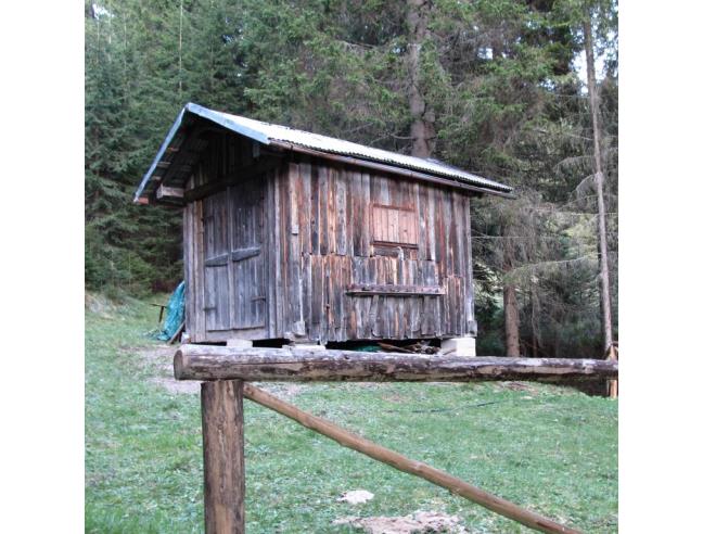 Anteprima foto 1 - Altro in Vendita a San Pietro di Cadore - Costalta