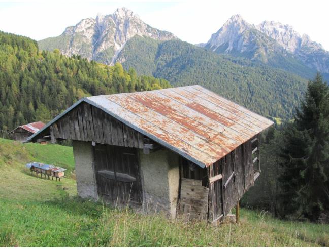 Anteprima foto 1 - Altro in Vendita a San Pietro di Cadore - Costalta