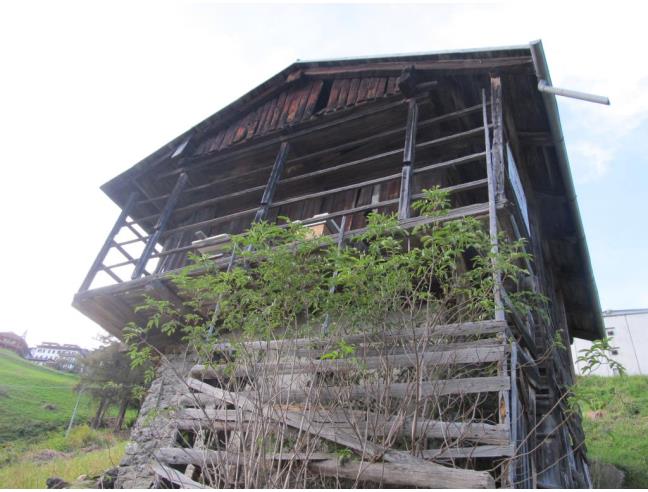 Anteprima foto 2 - Altro in Vendita a San Pietro di Cadore - Costalta