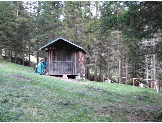 Anteprima foto 2 - Altro in Vendita a San Pietro di Cadore - Costalta