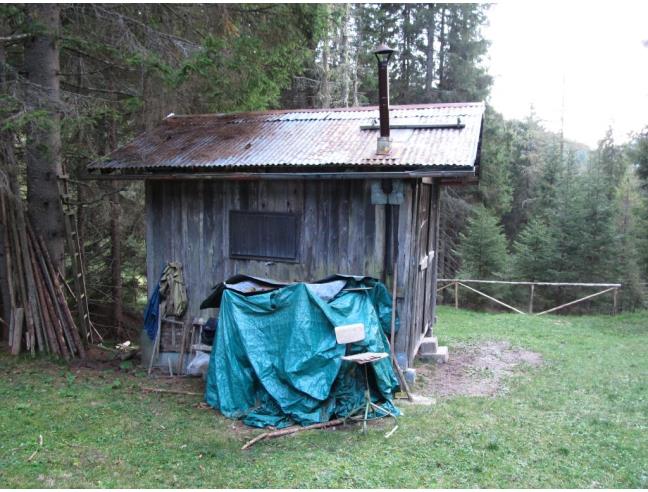 Anteprima foto 3 - Altro in Vendita a San Pietro di Cadore - Costalta