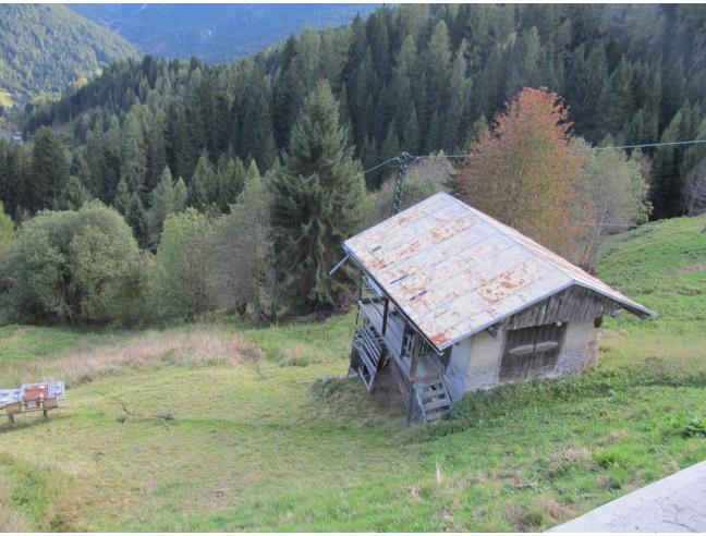 Anteprima foto 4 - Altro in Vendita a San Pietro di Cadore - Costalta