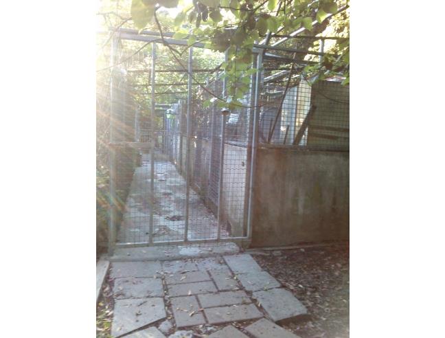 Anteprima foto 5 - Altro in Vendita a Sant'Olcese - Piccarello