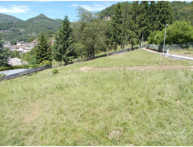 Anteprima foto 3 - Altro in Vendita a Sant'Omobono Terme - Selino Alto