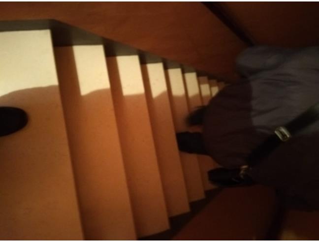 Anteprima foto 8 - Altro in Vendita a Santa Maria a Monte (Pisa)