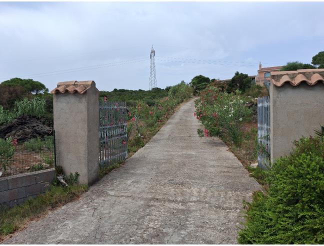 Anteprima foto 2 - Altro in Vendita a Santa Teresa Gallura (Sassari)