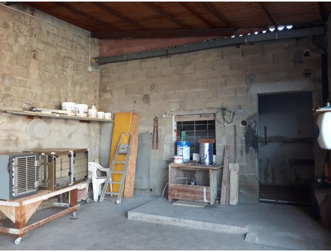 Anteprima foto 5 - Altro in Vendita a Sardara (Sud Sardegna)