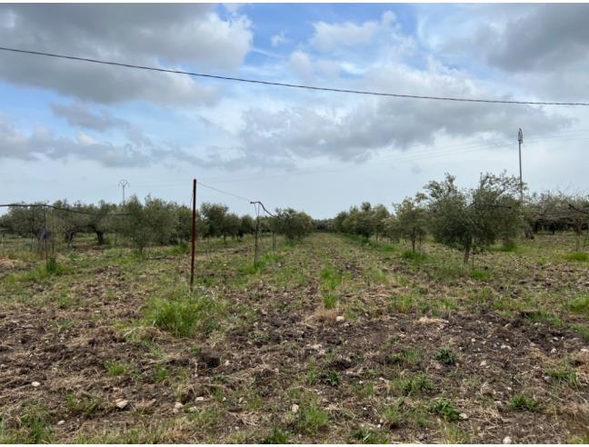 Anteprima foto 2 - Altro in Vendita a Sciacca (Agrigento)