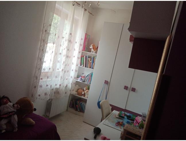 Anteprima foto 6 - Altro in Vendita a Scurcola Marsicana (L'Aquila)