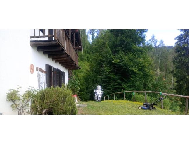 Anteprima foto 2 - Altro in Vendita a Sovramonte - Servo