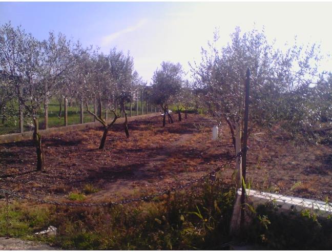 Anteprima foto 1 - Altro in Vendita a Sperlonga - Lago Lungo