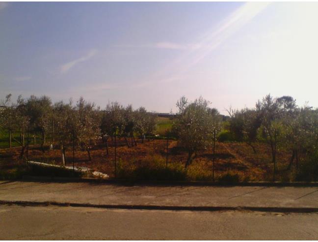 Anteprima foto 2 - Altro in Vendita a Sperlonga - Lago Lungo