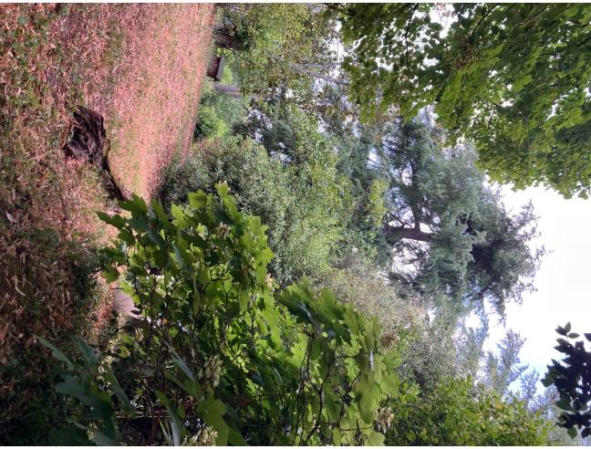 Anteprima foto 1 - Altro in Vendita a Stroncone (Terni)