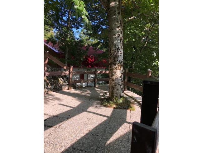 Anteprima foto 2 - Altro in Vendita a Subiaco - Livata