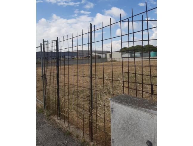 Anteprima foto 2 - Altro in Vendita a Tarquinia (Viterbo)