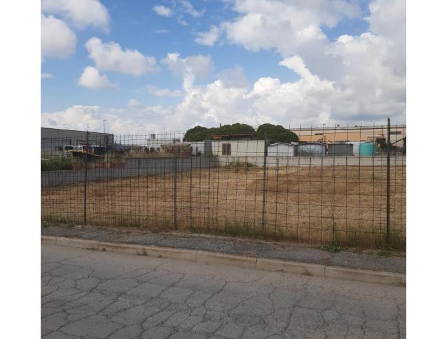 Anteprima foto 3 - Altro in Vendita a Tarquinia (Viterbo)