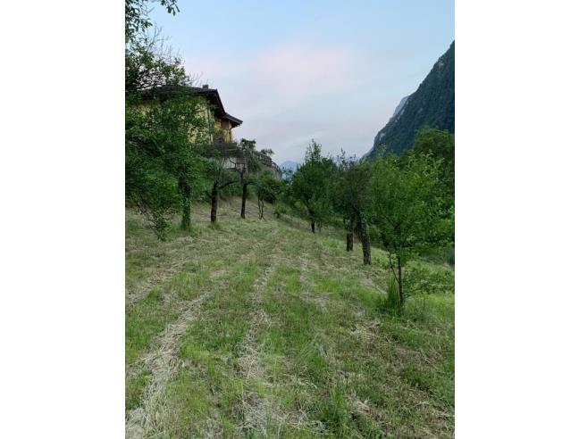 Anteprima foto 2 - Altro in Vendita a Tenno (Trento)