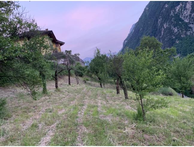 Anteprima foto 3 - Altro in Vendita a Tenno (Trento)