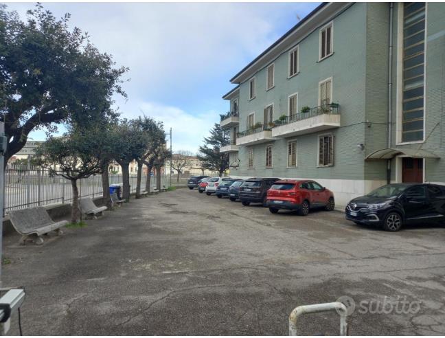 Anteprima foto 1 - Altro in Vendita a Termoli (Campobasso)
