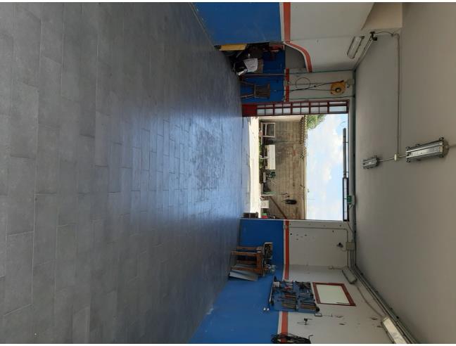 Anteprima foto 4 - Altro in Vendita a Terralba (Oristano)