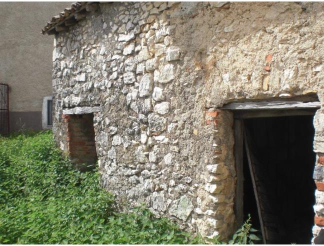 Anteprima foto 5 - Altro in Vendita a Torre Cajetani (Frosinone)