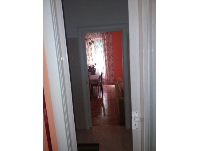 Anteprima foto 3 - Altro in Vendita a Tortona (Alessandria)