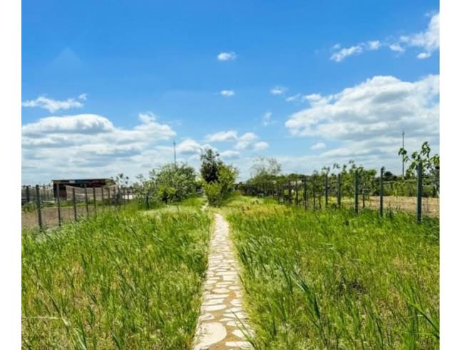 Anteprima foto 3 - Altro in Vendita a Trani (Barletta-Andria-Trani)