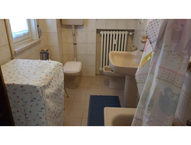 Anteprima foto 1 - Altro in Vendita a Urbino - San Marino Di Urbino