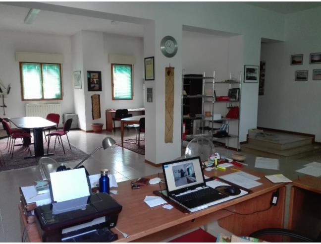 Anteprima foto 2 - Altro in Vendita a Vallefoglia (Pesaro e Urbino)