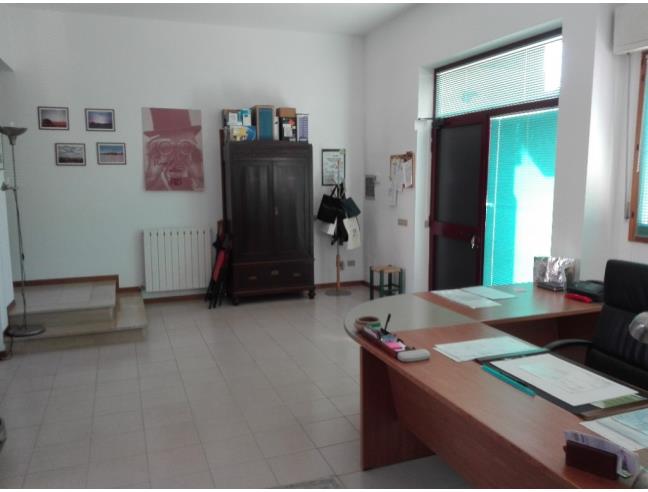 Anteprima foto 3 - Altro in Vendita a Vallefoglia (Pesaro e Urbino)