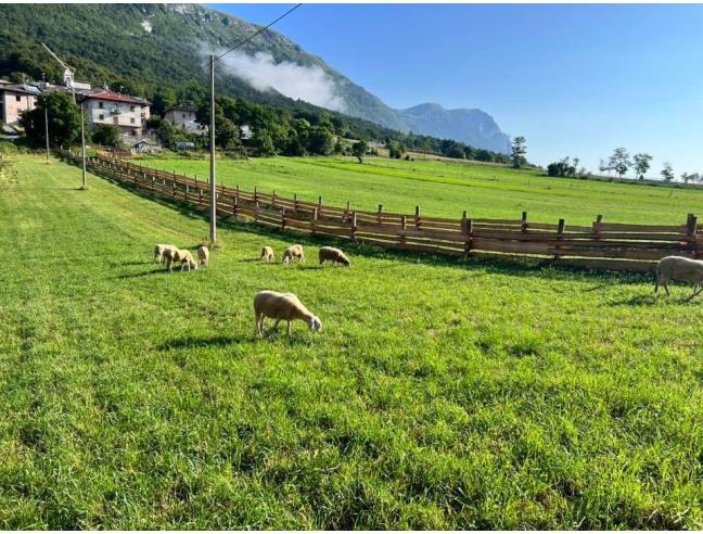 Anteprima foto 3 - Altro in Vendita a Vallelaghi - Margone