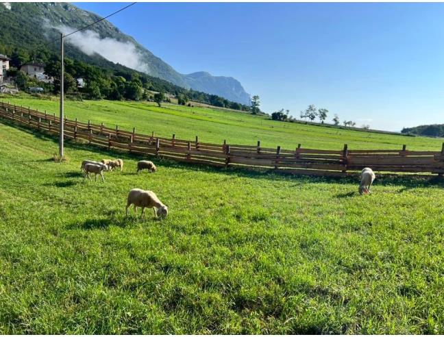 Anteprima foto 4 - Altro in Vendita a Vallelaghi - Margone